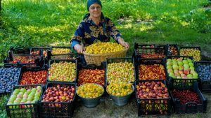 سیب های بهشتی - درست کردن مربا و ترشی خانگی با سیب های محلی در محیط روستا